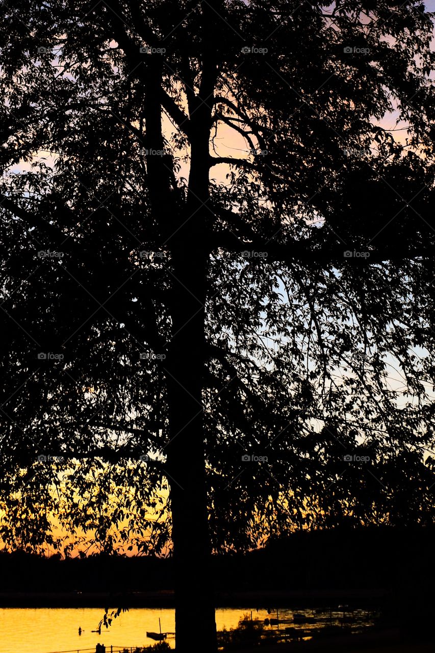 Beautiful Indiana sunset view