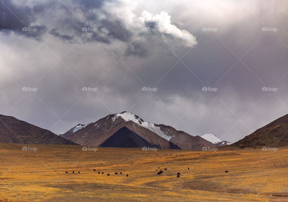 snow capped mountain landscape