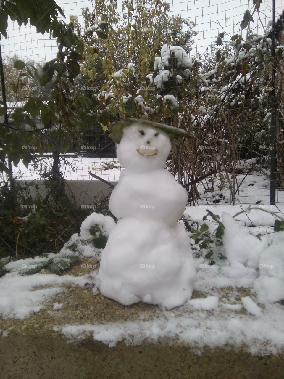 Snowman