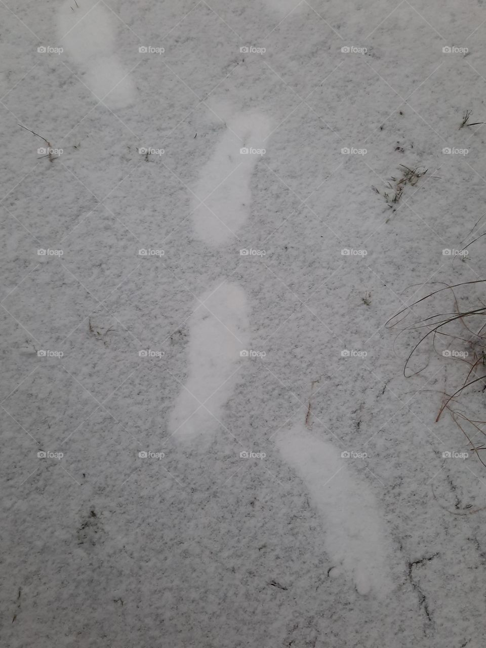 foot prints in the snow