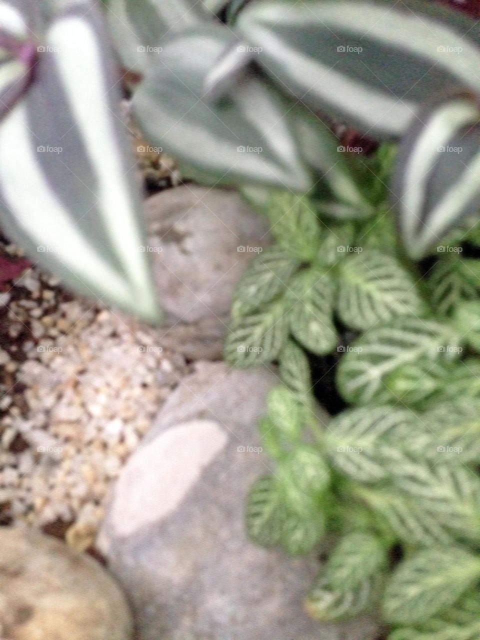 Abstract concrete plant feeling and various textures