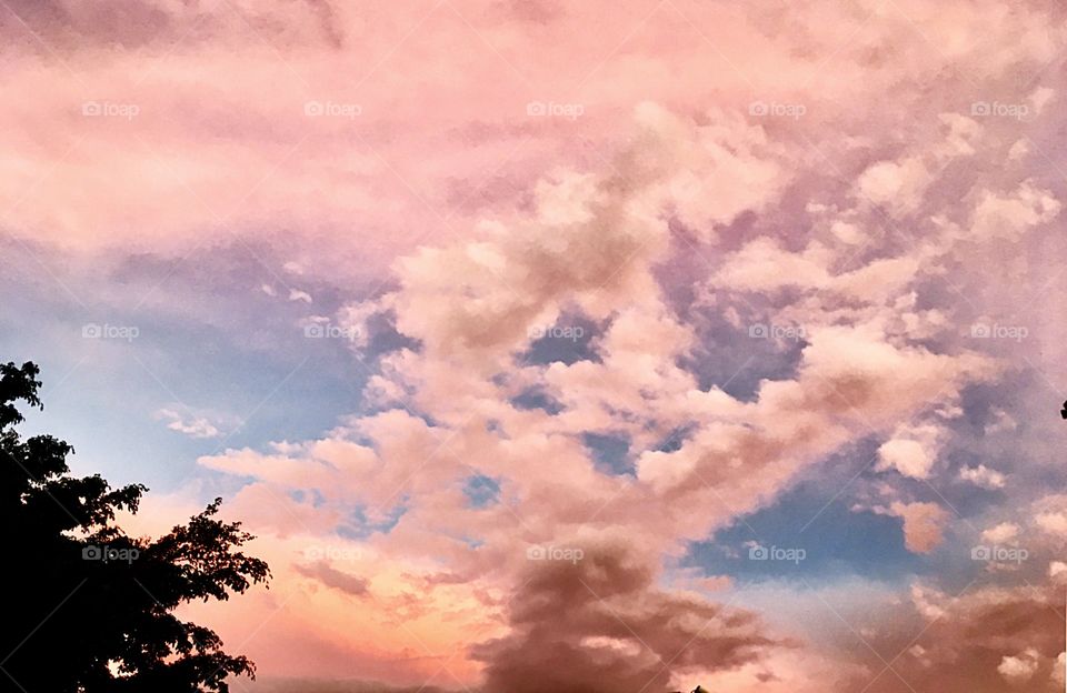 🌄#Entardecer que nos traz motivação!
Como não se inspirar com a beleza da #natureza?
📸
#fotografia #sol #sun #sky #céu #nature #horizonte #paisagem #landscape #inspiração #mobgrafia #XôStress #FotografiaÉNossoHobby