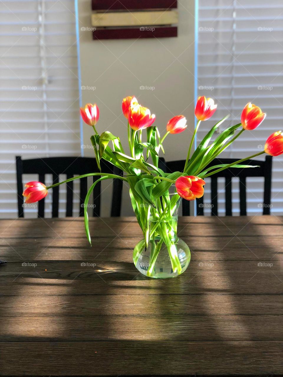 Tulips 