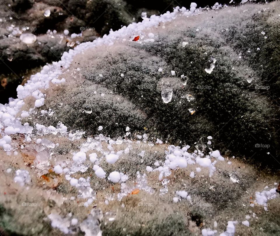 snow crystals on leaf