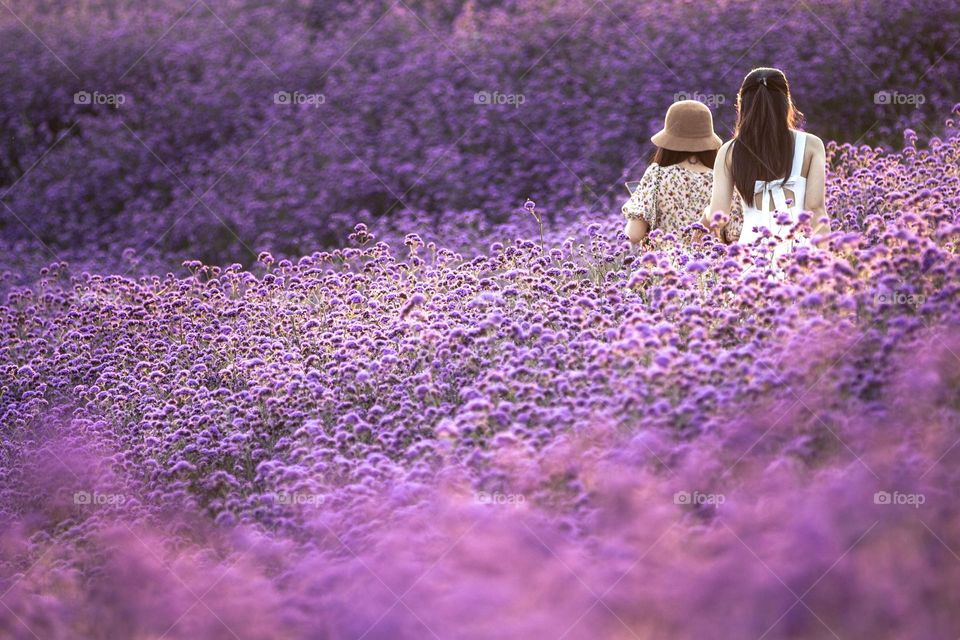 2 angels in beautiful purple flowers field