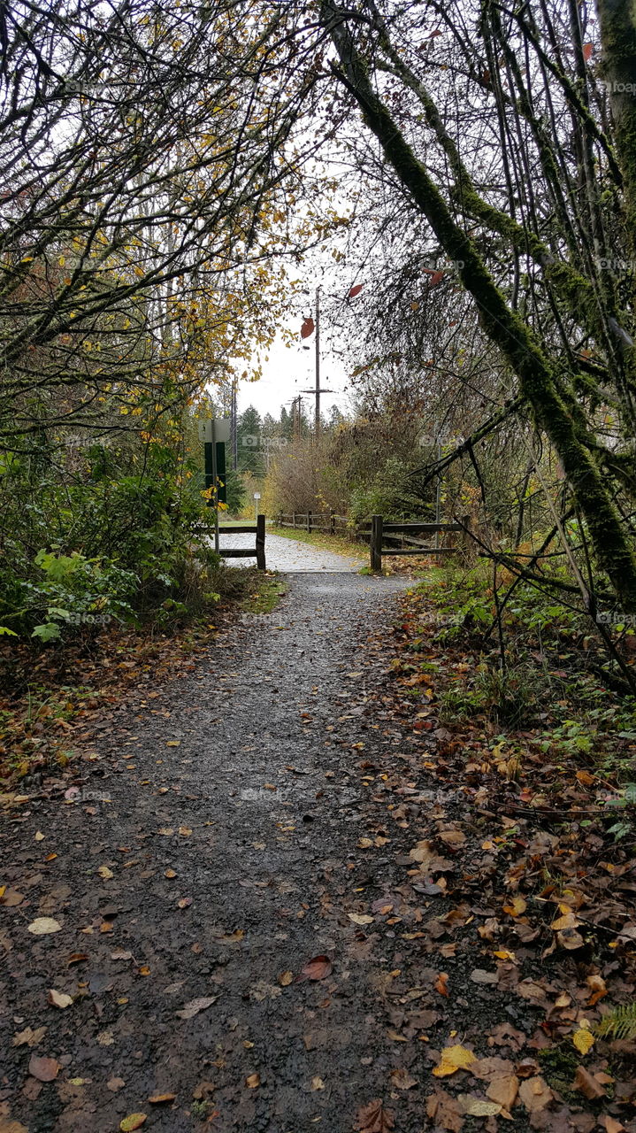 bike pathway, another entrances to the natural park