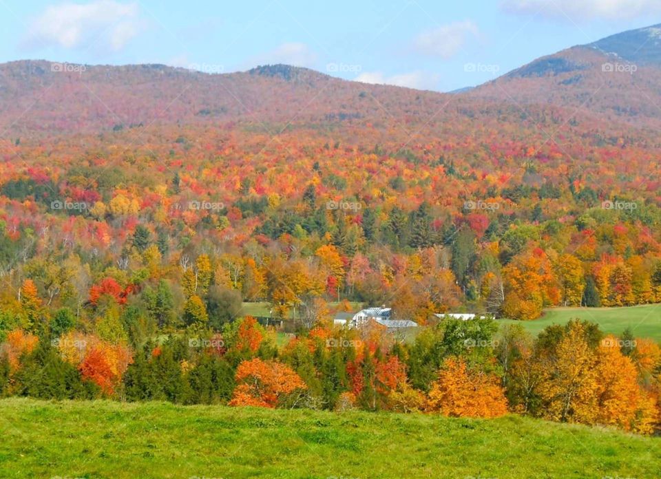 Vermont fall