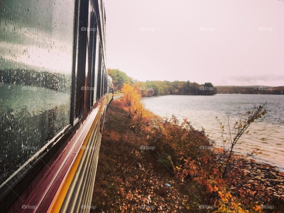 Enjoying the fall foliage and a train ride