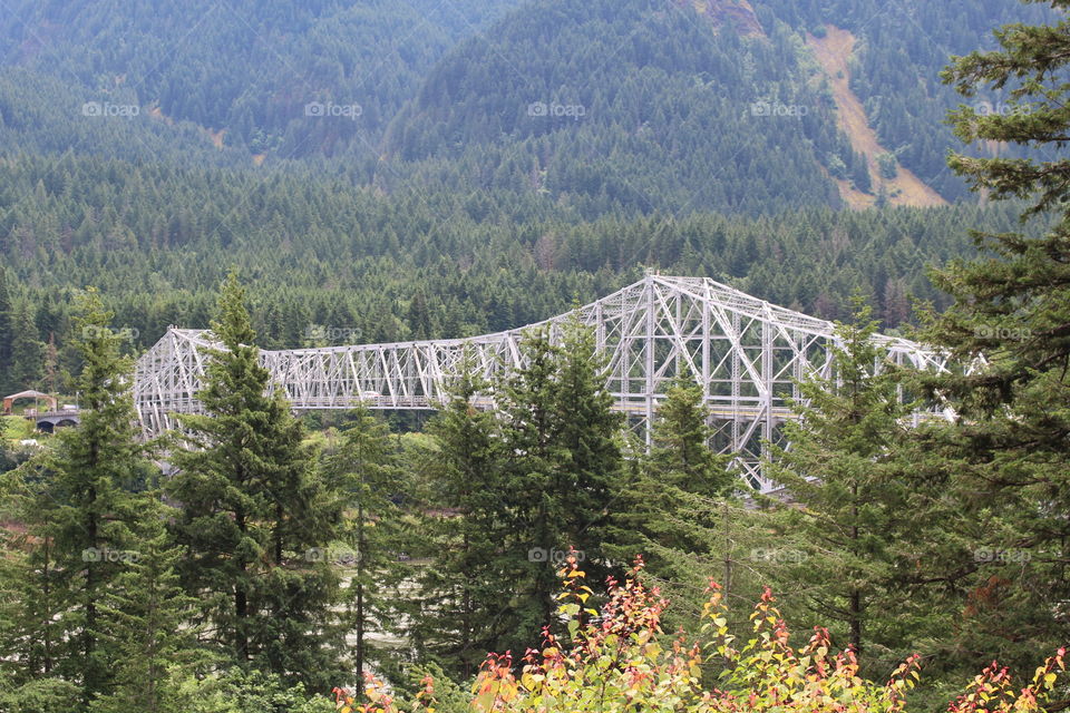 bridge of the gods