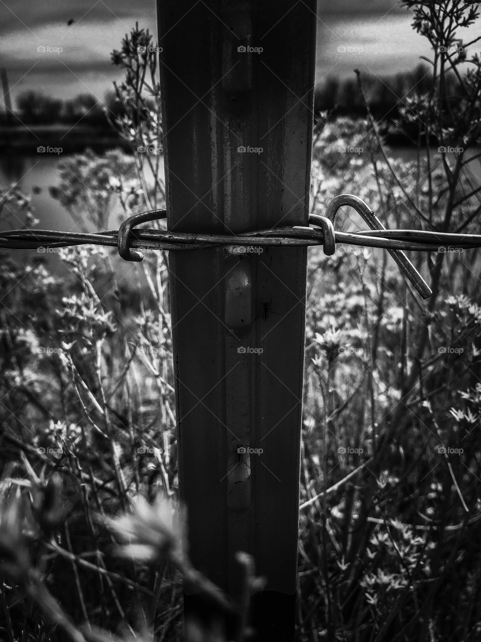 Fence Post