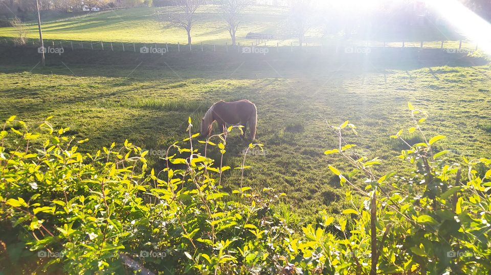 La belleza de la naturaleza, resumida en una simple foto.