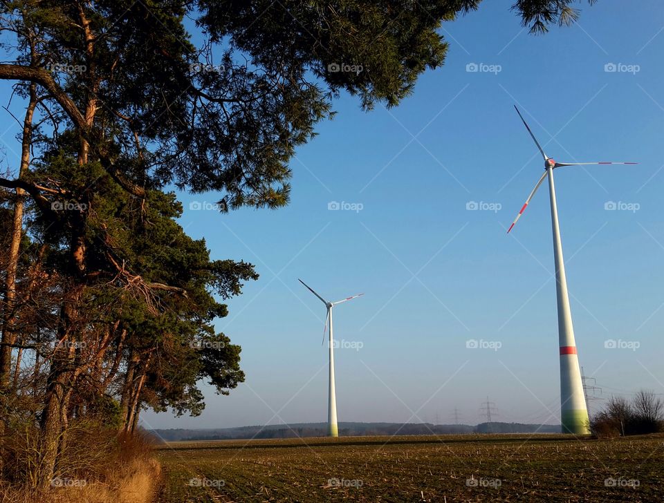 two windmills seen from the edge of the woods