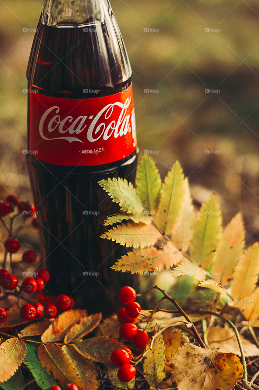 Autumn Cola 2