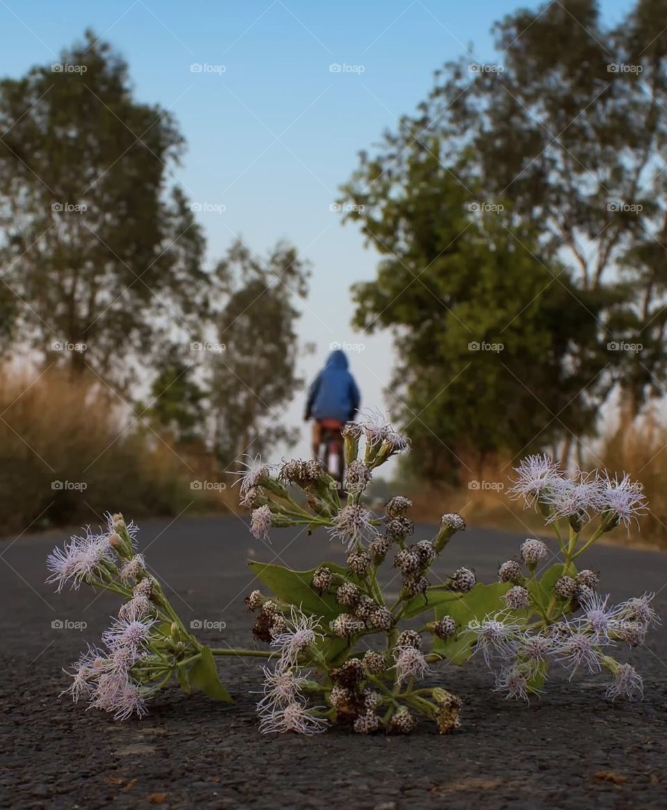 Leave your mark in this life 