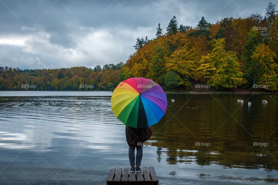 Umbrella