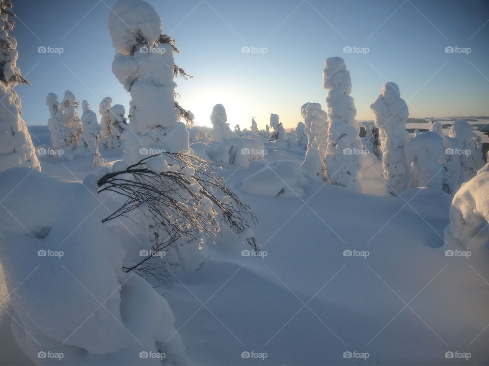 Forest snow idols