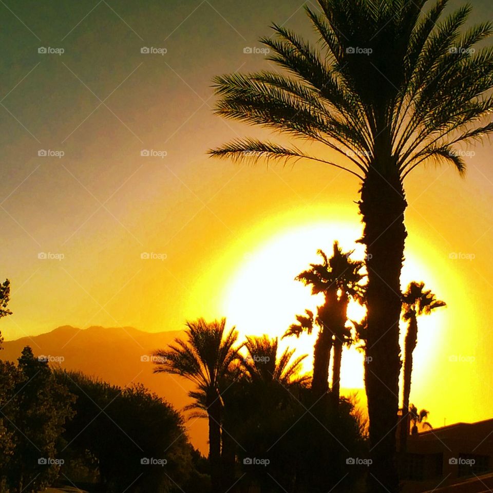 Palm Springs sunset 