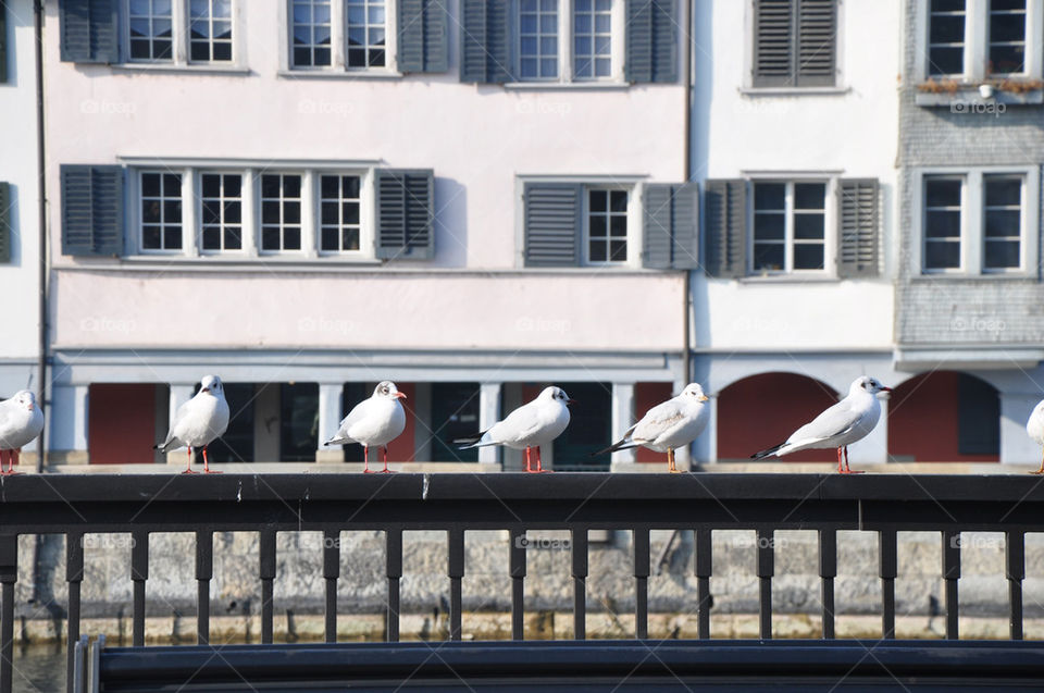 ocean light white summer by nivoa