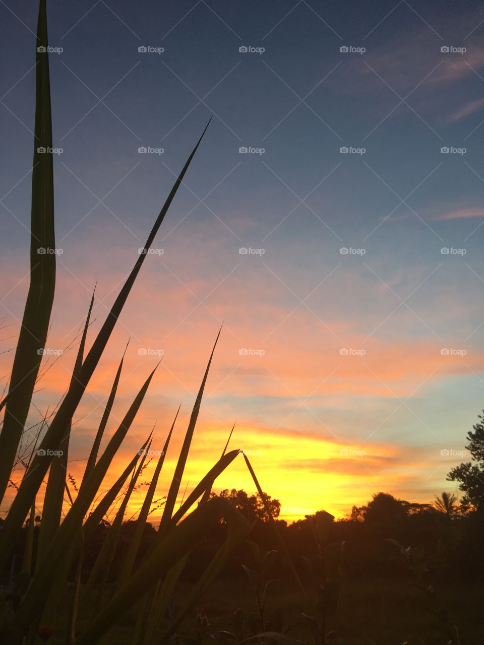 Desperta, #Jundiaí!
Ótima 4a à todos. Nosso incrível amanhecer na terra da uva. 
🌅
#sol
#sun
#sky
#céu
#nature
#nofilter #morning
#alvorada
#natureza
#horizonte
#fotografia
#paisagem
#amanhecer
#mobgraphia
#FotografeiEmJundiaí
#brazil_mobile