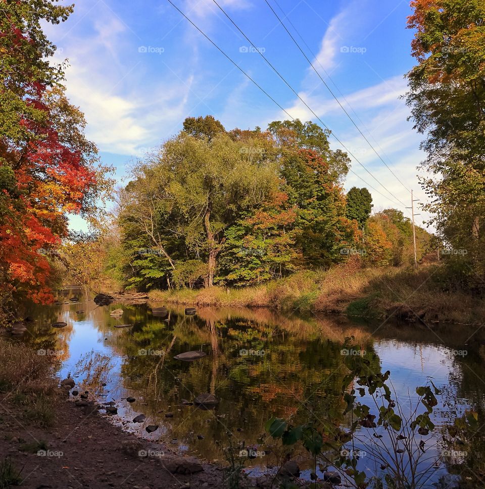 Reflection of trees on river in autumn