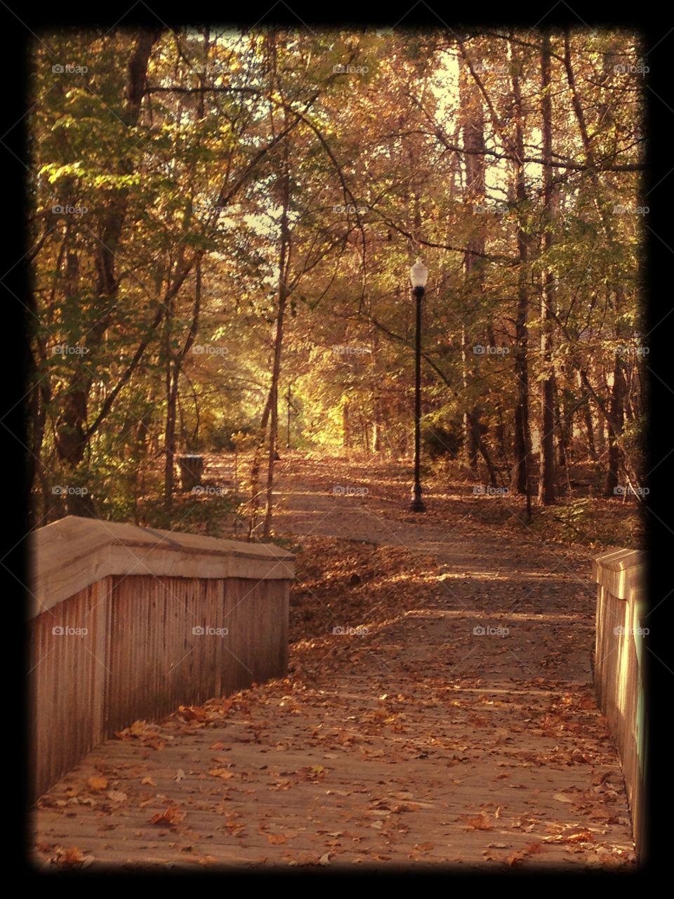Fall path bridge sidewalk park