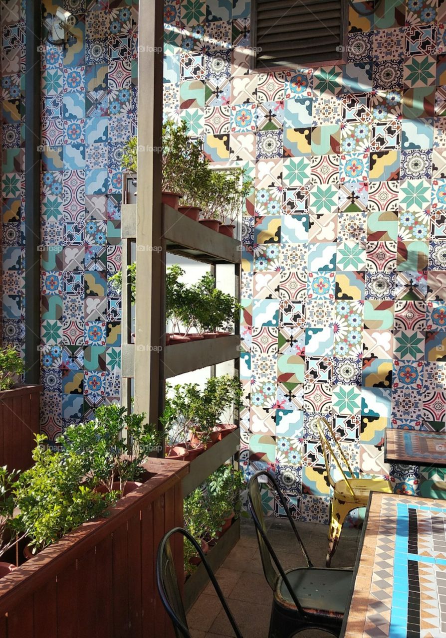 House, Flower, No Person, Summer, Architecture