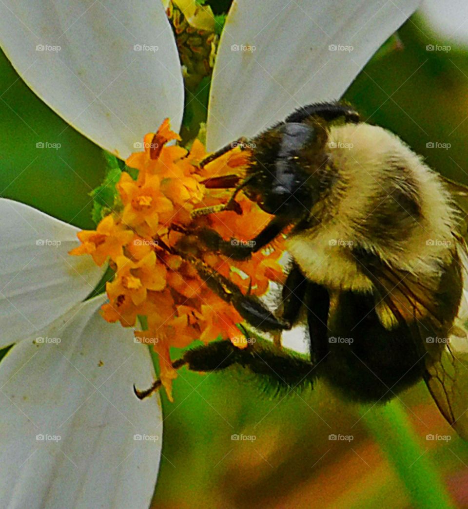 Early signs of spring mission