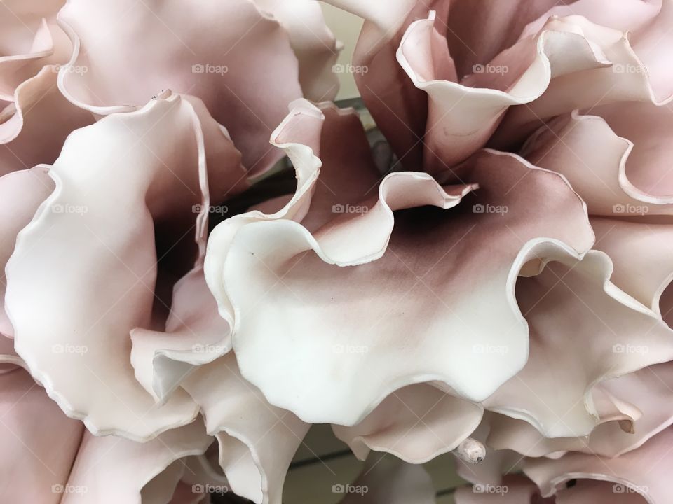 Taupe flower petals 
