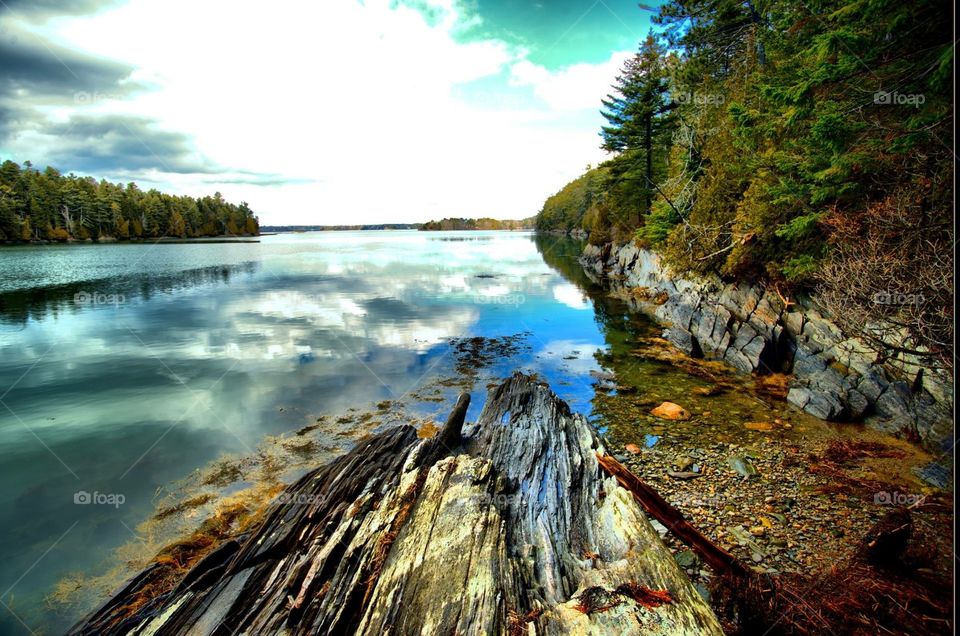 Maine island 
