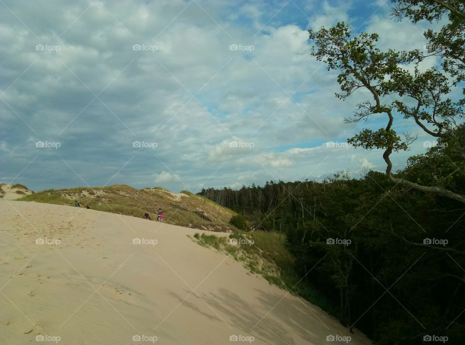 Landscape, Tree, Sky, Beach, Travel