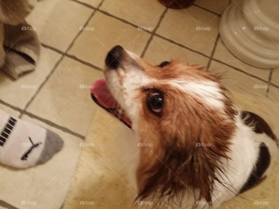 After Bath Smile