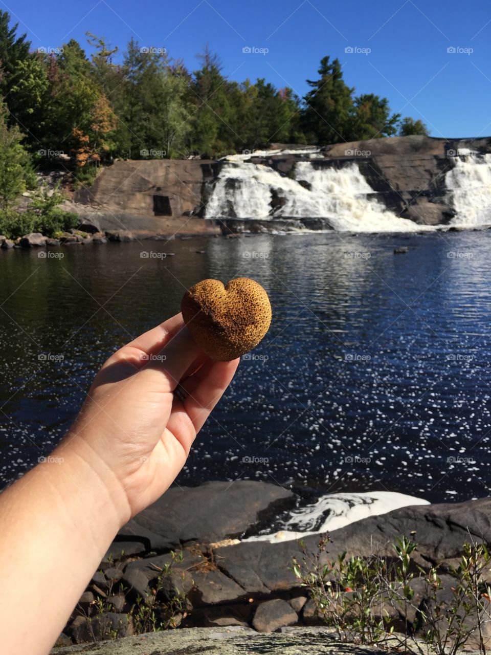 Heart shaped mushroom in front of a waterfall