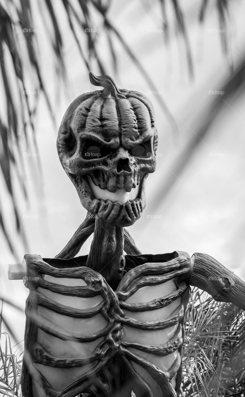 A spooky Halloween pumpkin head outside in black and white