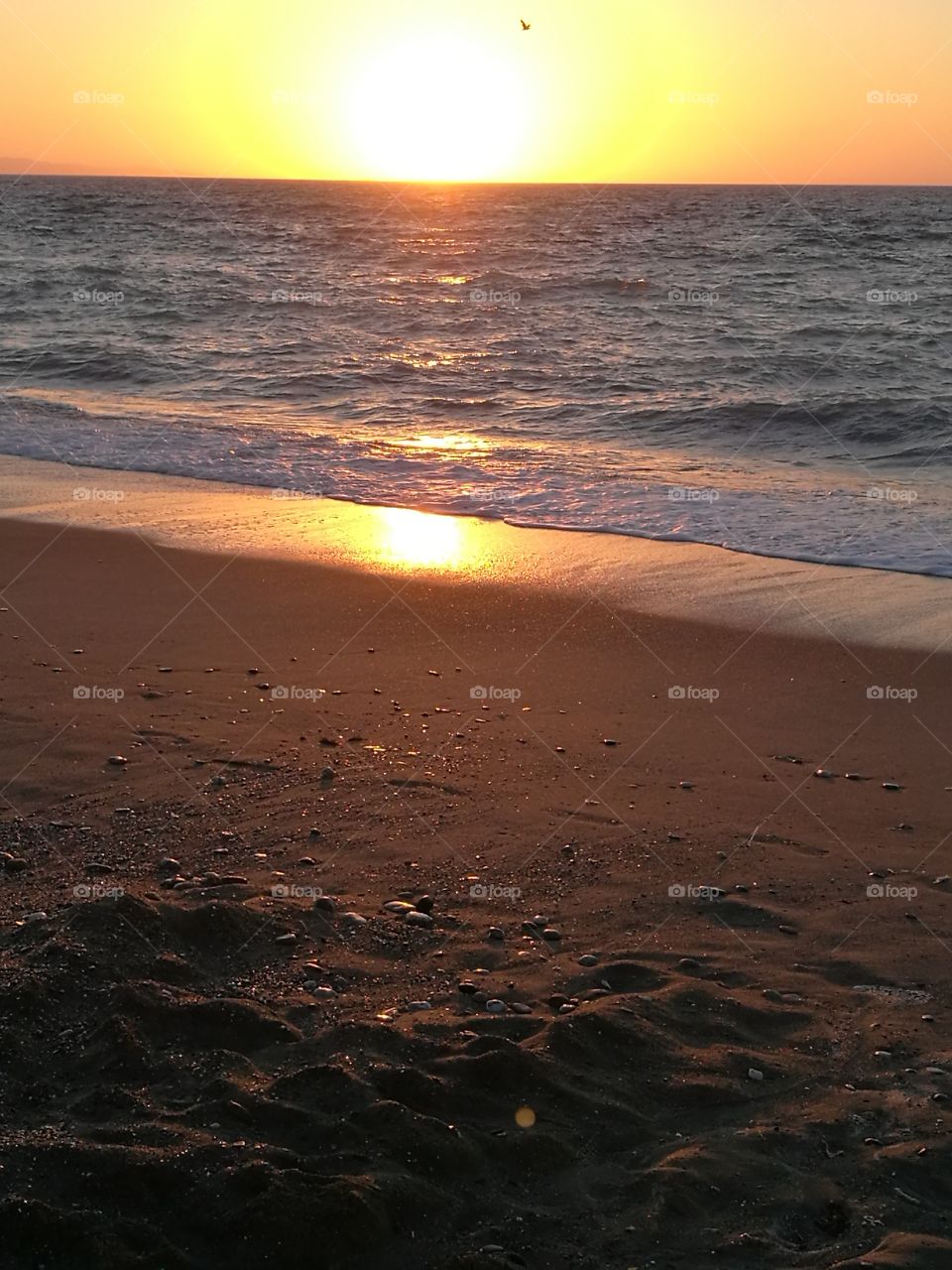 Sunset, Beach, Sun, Water, Dawn