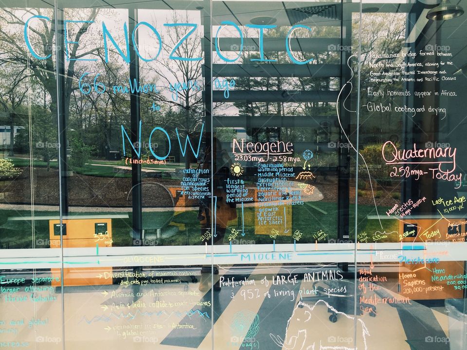 The future generation