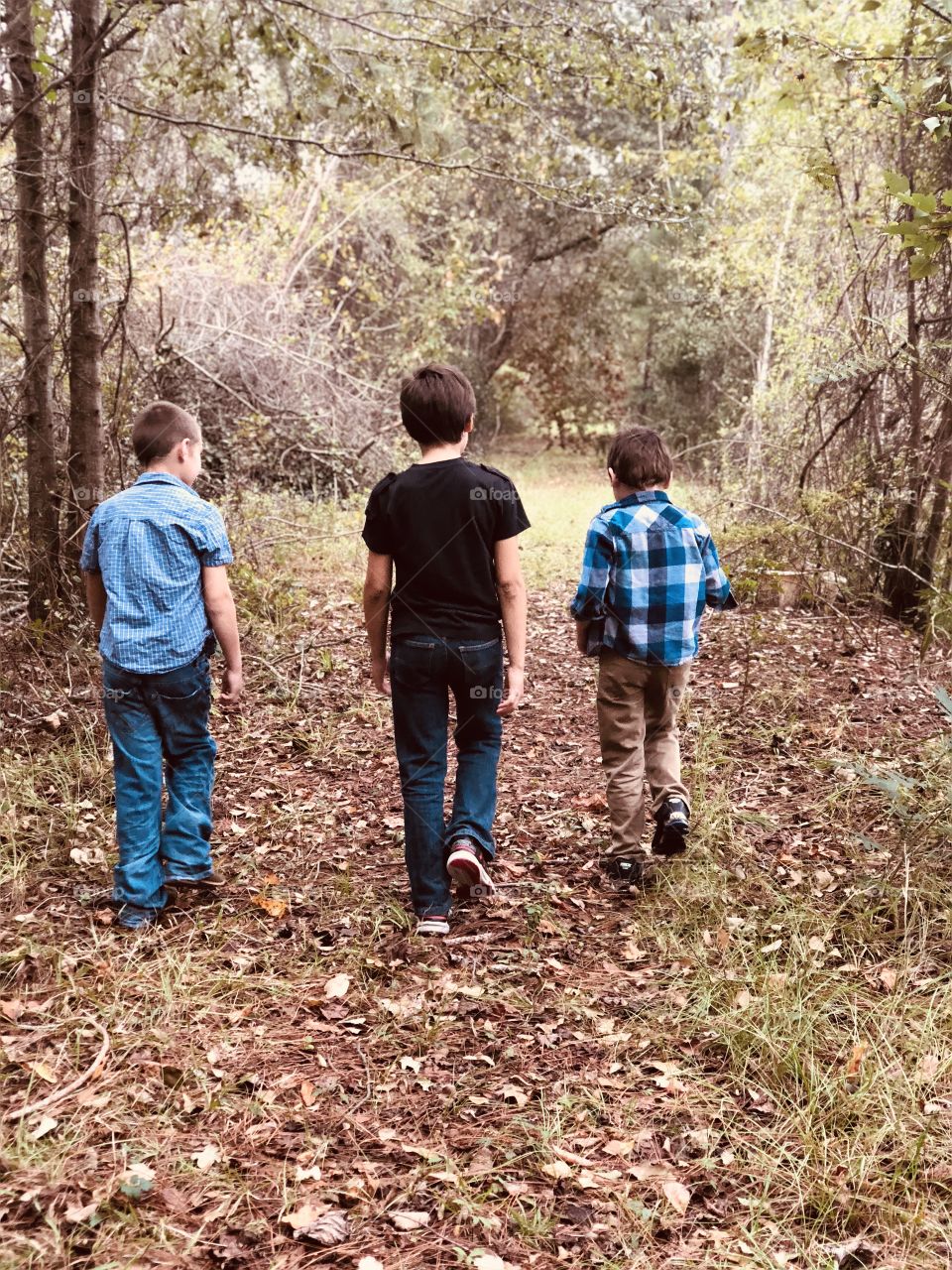 Taking a walk together 