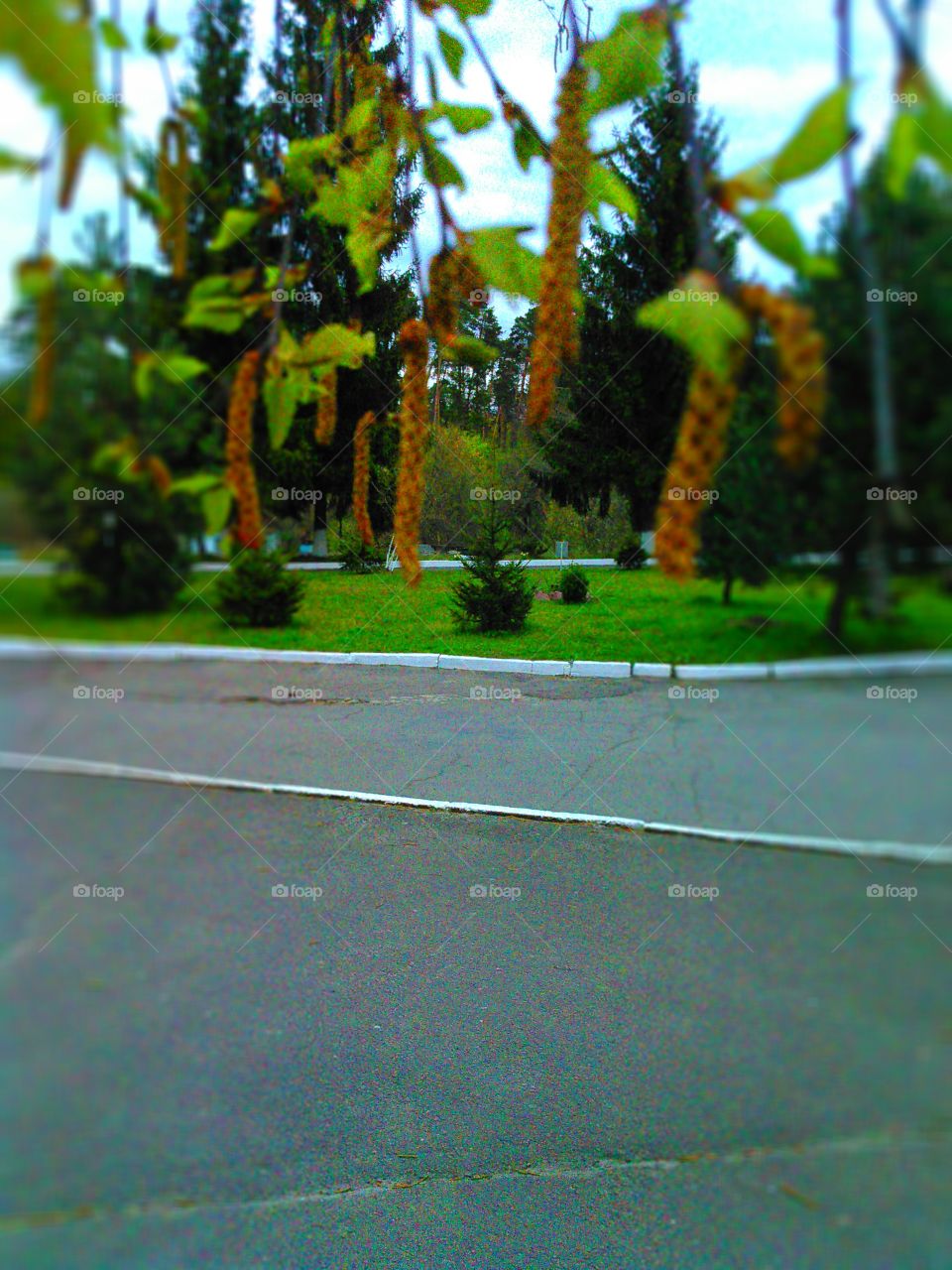 бруньки,природа,оригинально,супер)