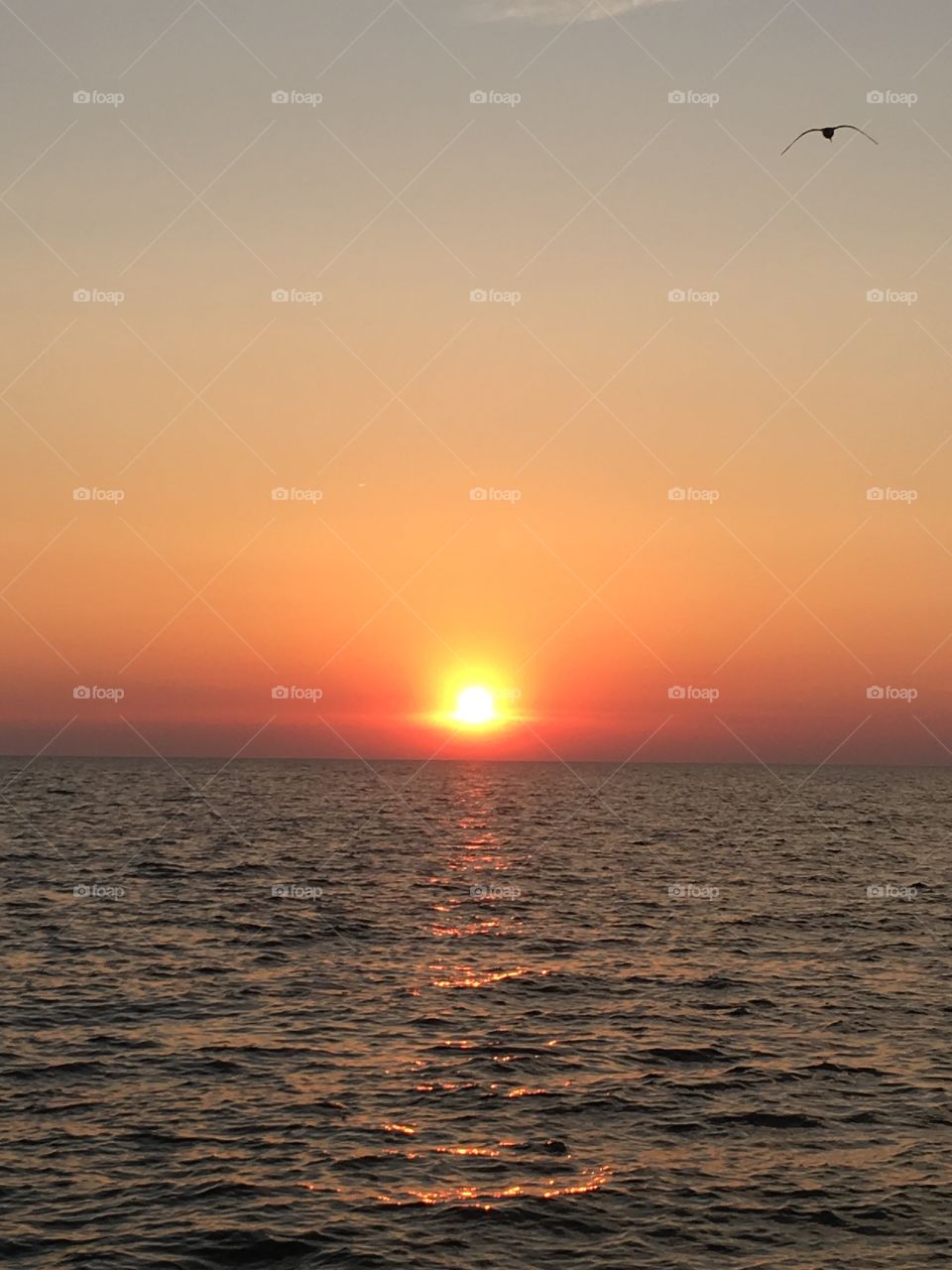 Sunset on Water