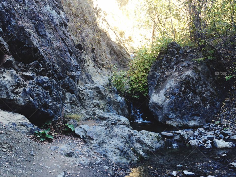 Peterson creek hike! 