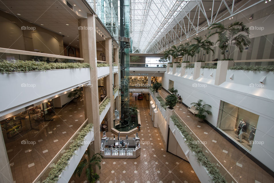 Indoors, Ceiling, Lobby, No Person, Architecture