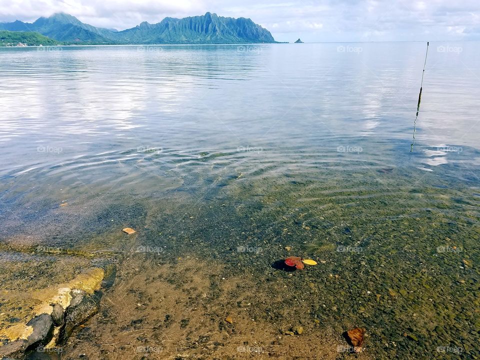 Kaneohe Bay