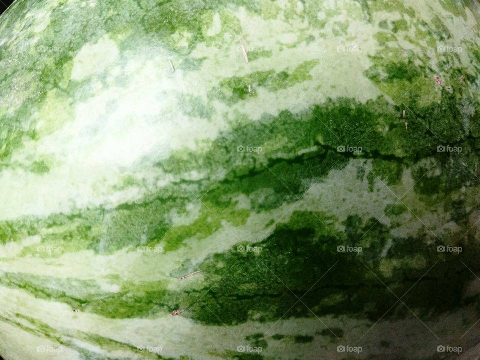 Watermelon Rind
