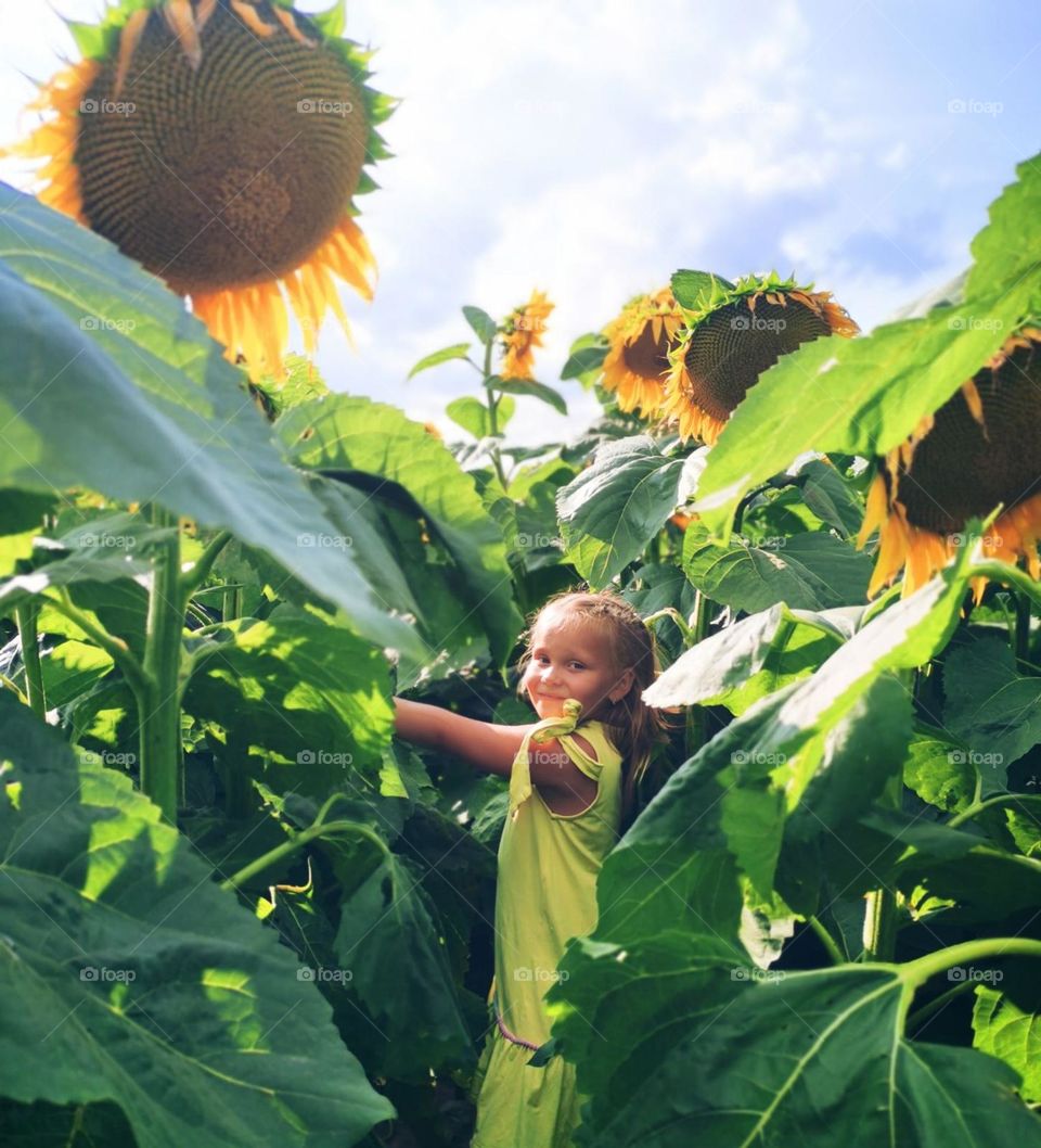 Объять необъятное