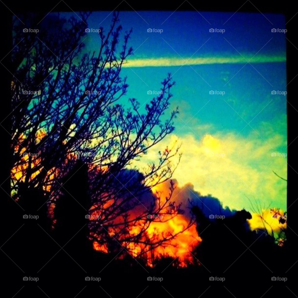 Sunset through trees