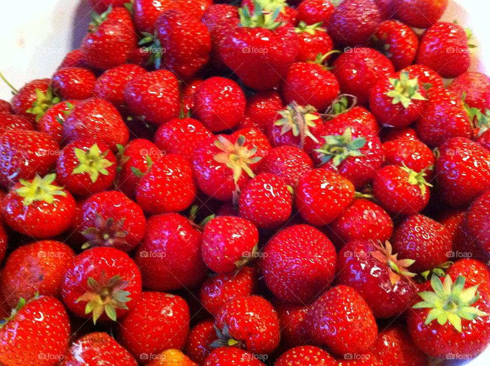 summer sun strawberry berries by daysiboo