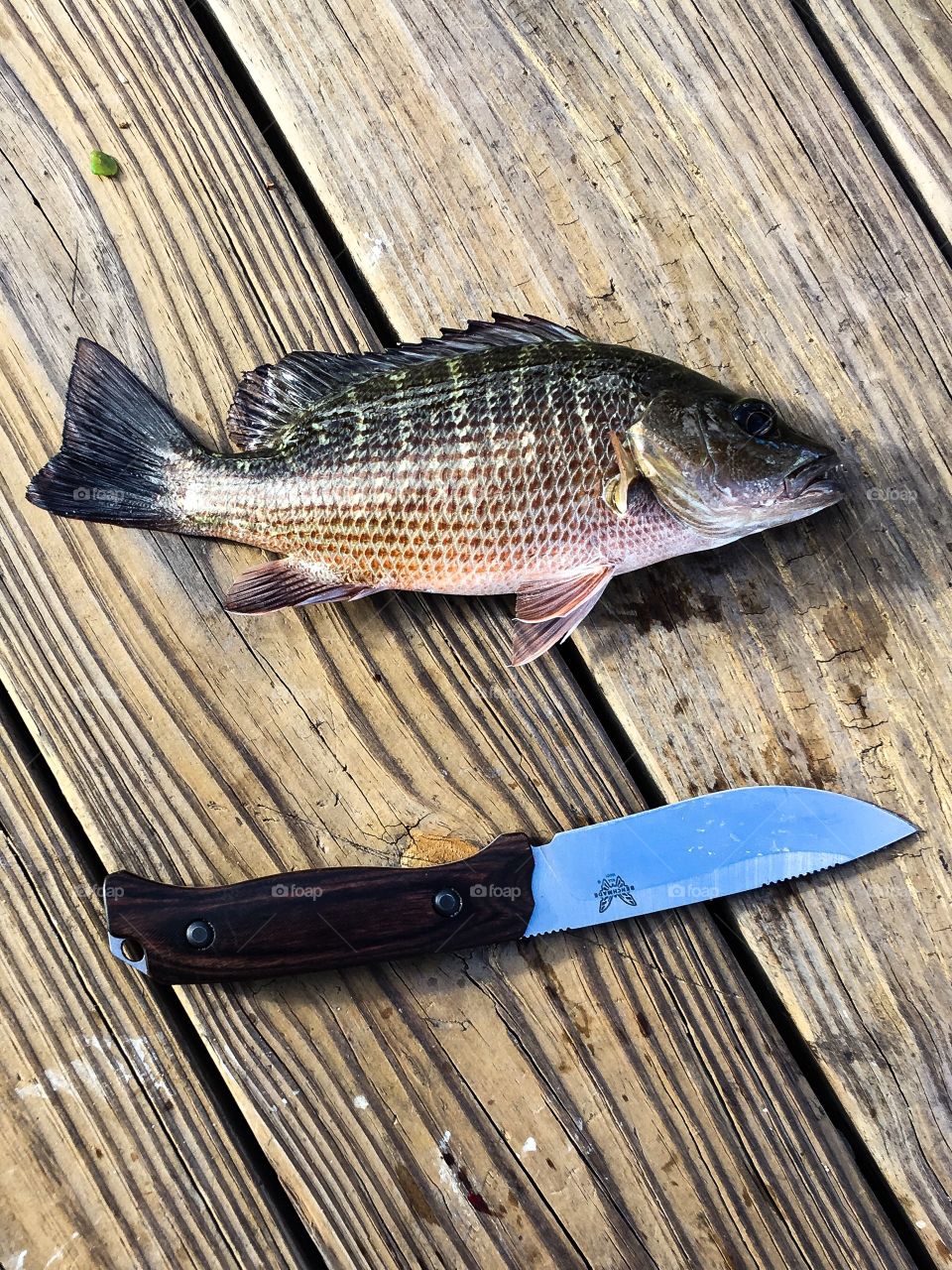 Bench made knifes are great, and reliable.