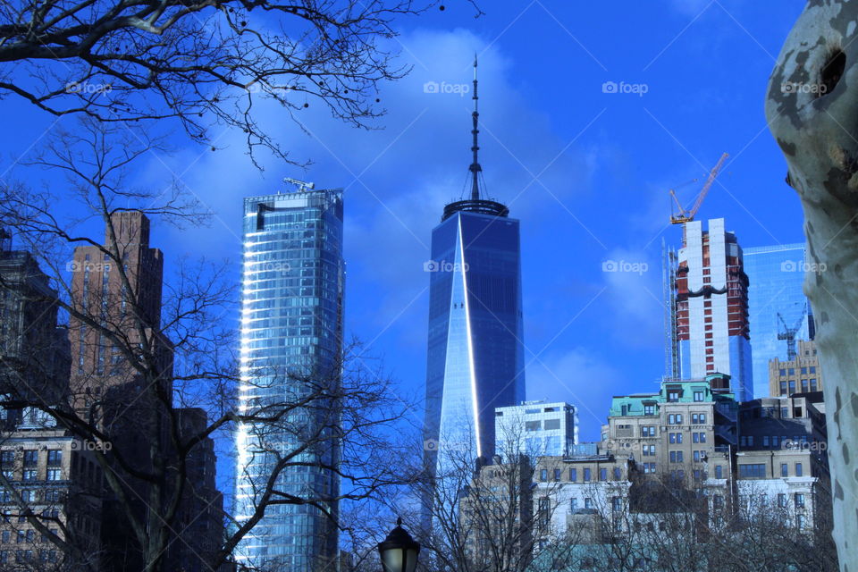 Building, skyline, architecture