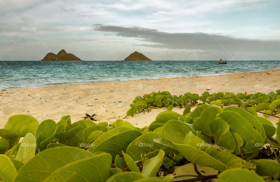 lanikai