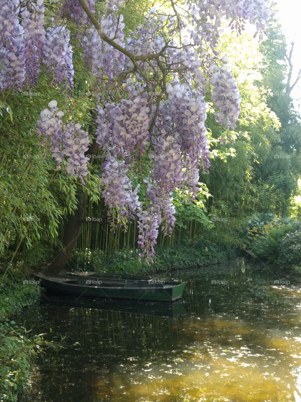 Monet's Garden in Giverny, France