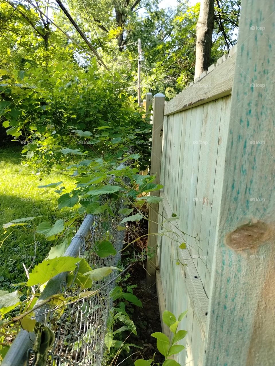issues painting fence